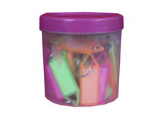 Plastic Multicolored Key Chain <br /> with ID Label - Set of 50